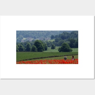 Field of poppys  near baslow in derbyshire with chatsworth house in the distance Posters and Art